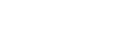 ELEIV